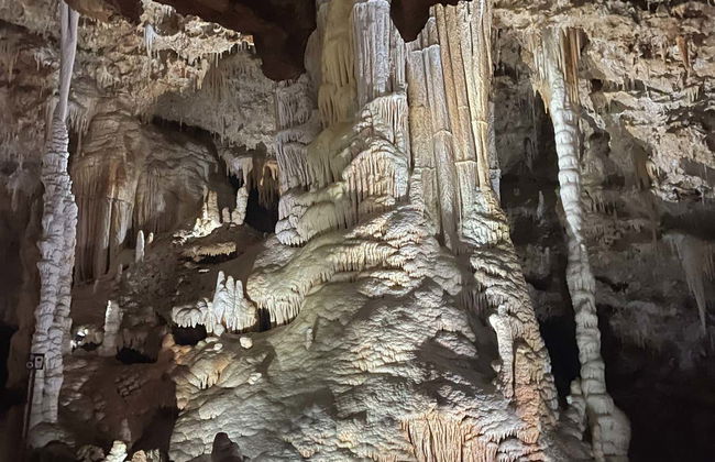 Excursão aos Terrasses du Larzac - Foto 6