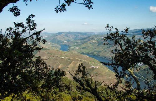 Apartmento - Casa dos Meninos - Foto 37