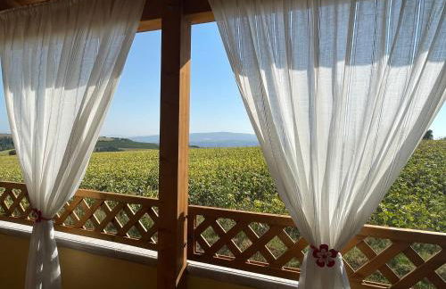 AGRITURISMO LA MOROLLA - Foto 23