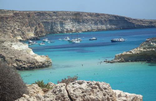 ROSA del SUD - Foto 4