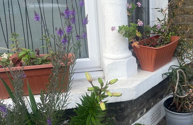 1 Bed Victorian Flat Sleeps 4 - Garden & Patio - Foto 26