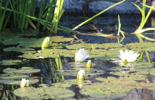 Holiday Home Jägerhaus by Interhome - Foto 33