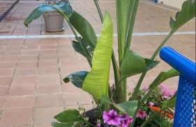 AljaLux Sevilla Bormujos - Foto 15