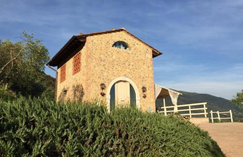Valuable rustic Tuscan swimming pool, breathtaking view of Camaiore - Photo 4