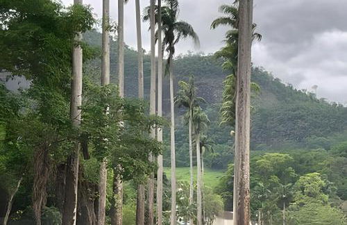 Sítio das Flores, 7 Km do centro de Castelo - Foto 31