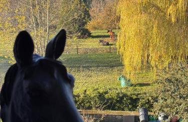 Rural Lake View in Welford upon Avon - Foto 12