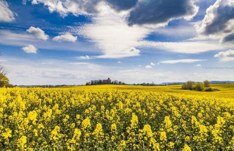 Ferienbungalow Oase - Foto 27