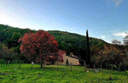 Casal'terra - Il Fosso - Foto 38