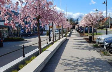 Apartament M&M "Wioska Żeglarska" - Foto 44