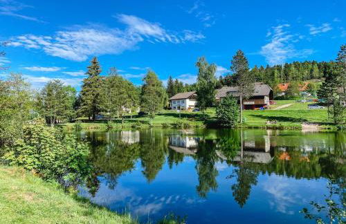 Ferienwohnungen Am Skilift - Foto 59