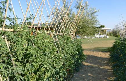 Residence Colle Veroni - Foto 18