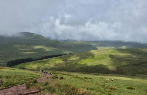 Little Plas - Foto 71