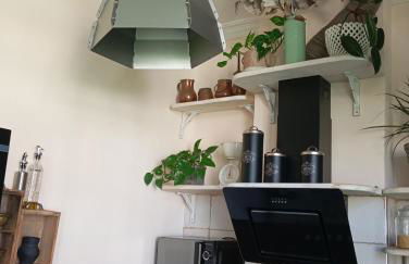 Piso Iwvaxi, gallery house. Ourense. - Foto 15