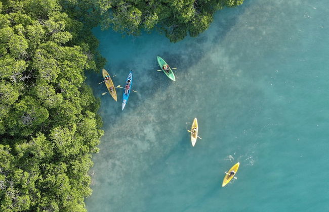 Shaka Caye - Photo 73