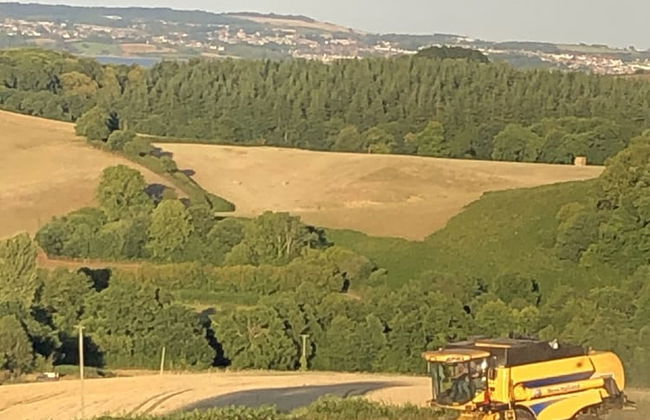 Lower Thornton Farm - Foto 36