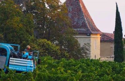 Domaine du Château Larroque - Foto 7