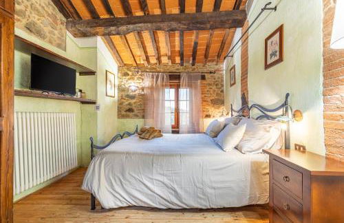 Beb Pulcino Nero Scrofiano - Photo 21