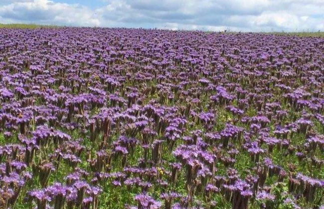 Modern Holiday Home in Hessen - Foto 31