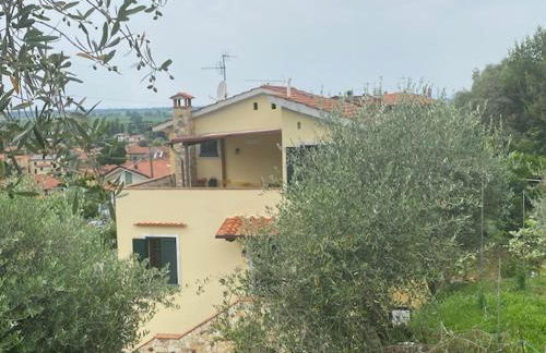 La Dolce Vita - Foto 1