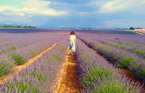 Chez Georges - Maison 2 - Les Gîtes du Verdon - Foto 15