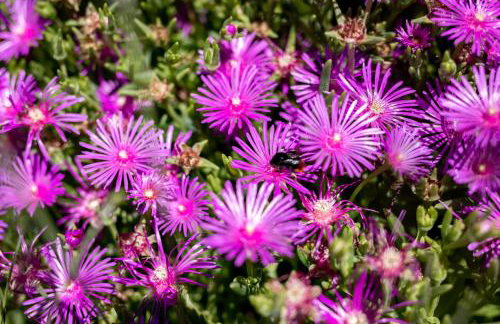 Villa Simici quiet peaceful place with pool perfect to enjoy the nature - Foto 54