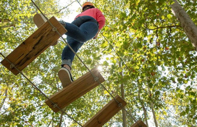 Actividad de puentes colgantes en el parque Ecoturístico Cola de Caballo - Foto 4