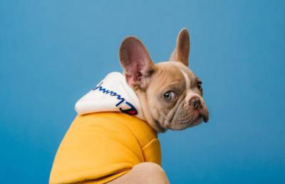 Vista Del Mar at Cape Harbour Marina, 10th Floor Luxury Condo, King Bed, Views! - Foto 66