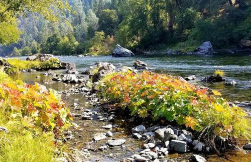 Charming Cottage Rental with Fabulous Views of the Trinity River in Northern California - Foto 55
