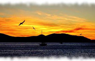 le cytharis - Foto 38