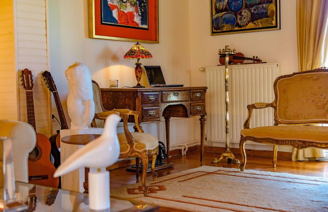 Art Gallery Villa Kefalonia Sea View and Breakfast - Foto 36