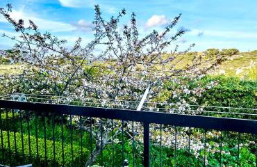 L'arco di Elisa - Foto 41