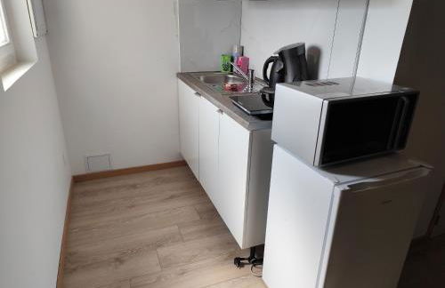 Studio Garden Parking Airport Eurexpo Groupama Stadium - Foto 5