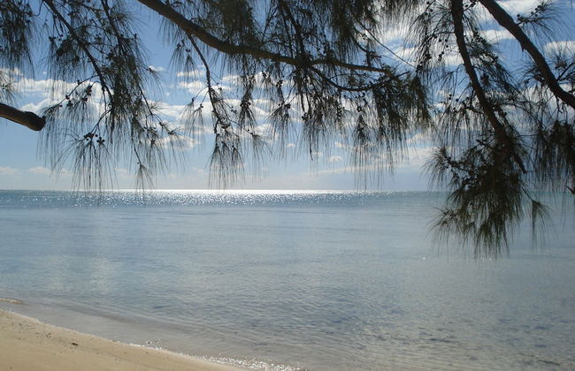 Waterway Condos - Foto 23