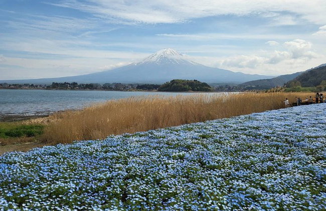 Tour privato in auto al Monte Fuji da Tokyo - Foto 1