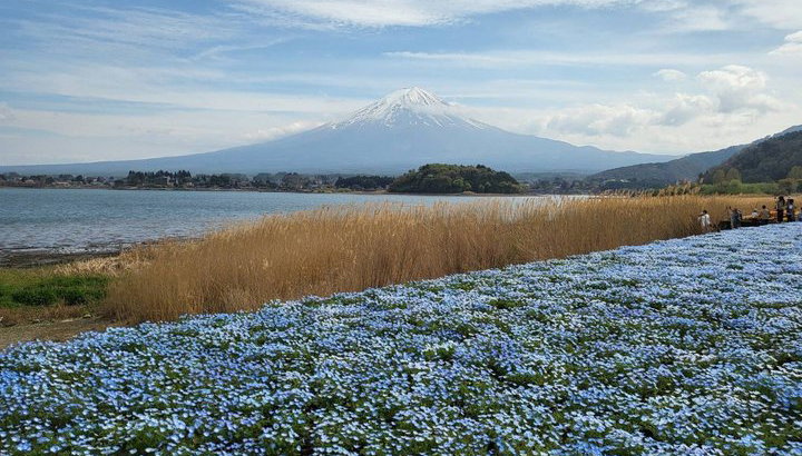Tour privato in auto al Monte Fuji da Tokyo - Foto 1