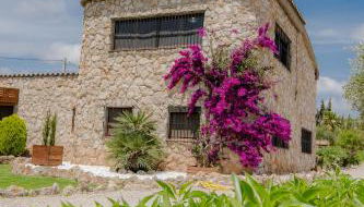 Villa Rural Avril - Foto 5, Garden view