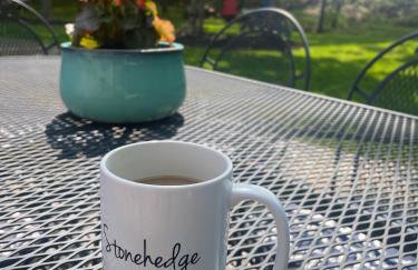 Stonehedge View by Simple Life Rentals - Photo 33