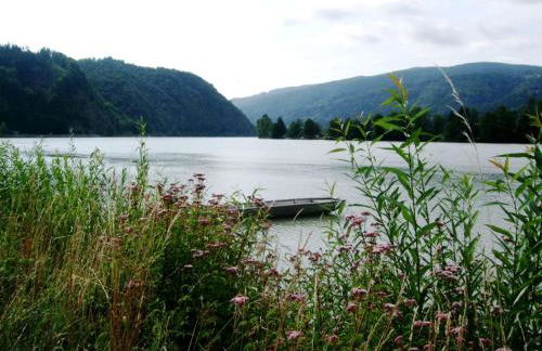 Apartment Örtl in Obernzell by Interhome - Foto 23