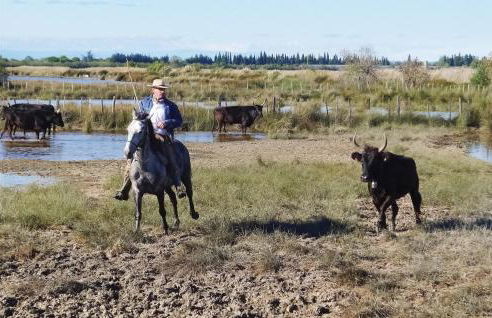 Nice Home In St Gilles - Foto 39