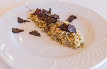 Aromas del Jiloca, la Trufa Negra - Foto 28