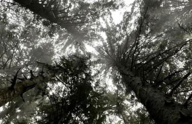 Cozy Waterfront Cottage with Hot Tub in Lakeside, Oregon - Foto 26