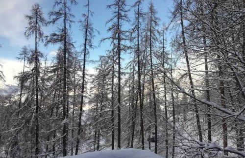 Le Petit Aupillon - L'Aupillon des Forêts - 2 studios cocooning aux Orres - Photo 46