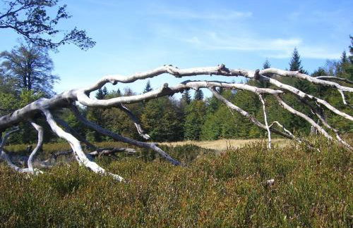 1-bedroom holiday home - Foto 17