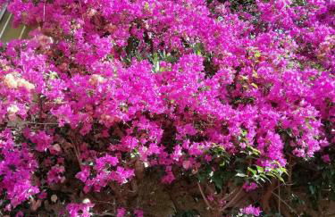 La casa di Giò - Foto 13