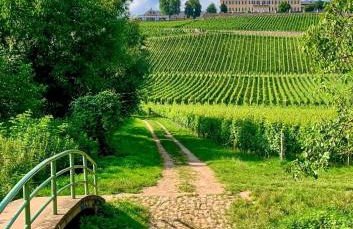 Gemütliche Wohnung in Ortsrandlage - Foto 42