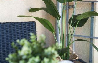 Central 2BR Park Royal Apartment with Balcony and Parking - Photo 11