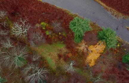 Holly Lodge - Ski Windham Hunter Catskills - Foto 20