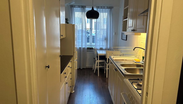 Cozy City Apartment in Heart of Södermalm - Foto 4, Cucina privata