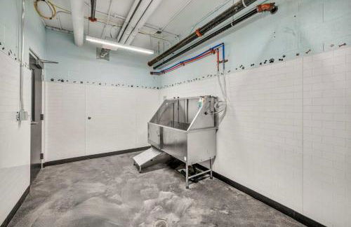 Little Italy & CWRU w King BedGymParkingWD - Foto 42