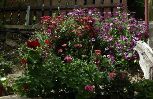 Sminos Farm House E4 path, Γυθειο - Foto 21